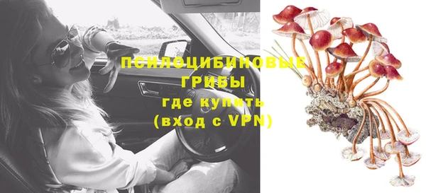 наркотики Белокуриха