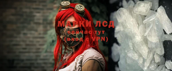 индика Белоозёрский