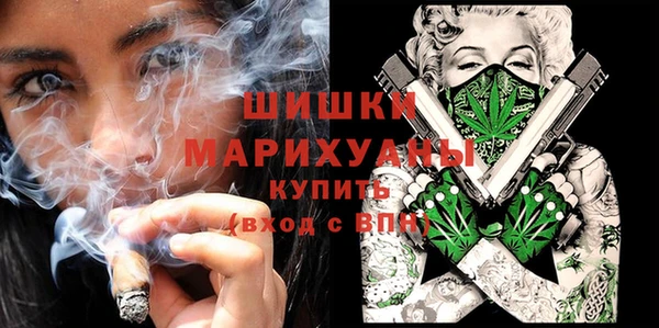 индика Беломорск
