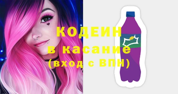 индика Беломорск