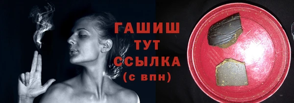 индика Беломорск