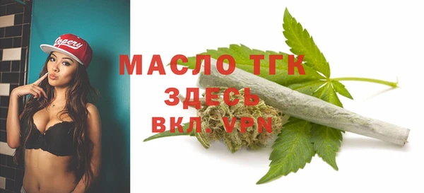 индика Беломорск