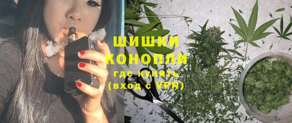 индика Беломорск