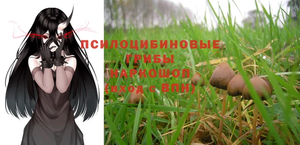 индика Белоозёрский