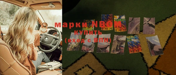 индика Беломорск