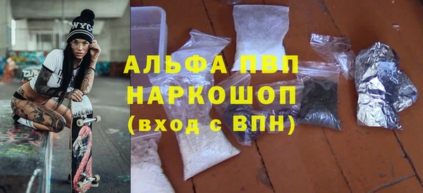 индика Беломорск