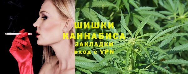 индика Белоозёрский