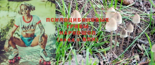 наркотики Белокуриха